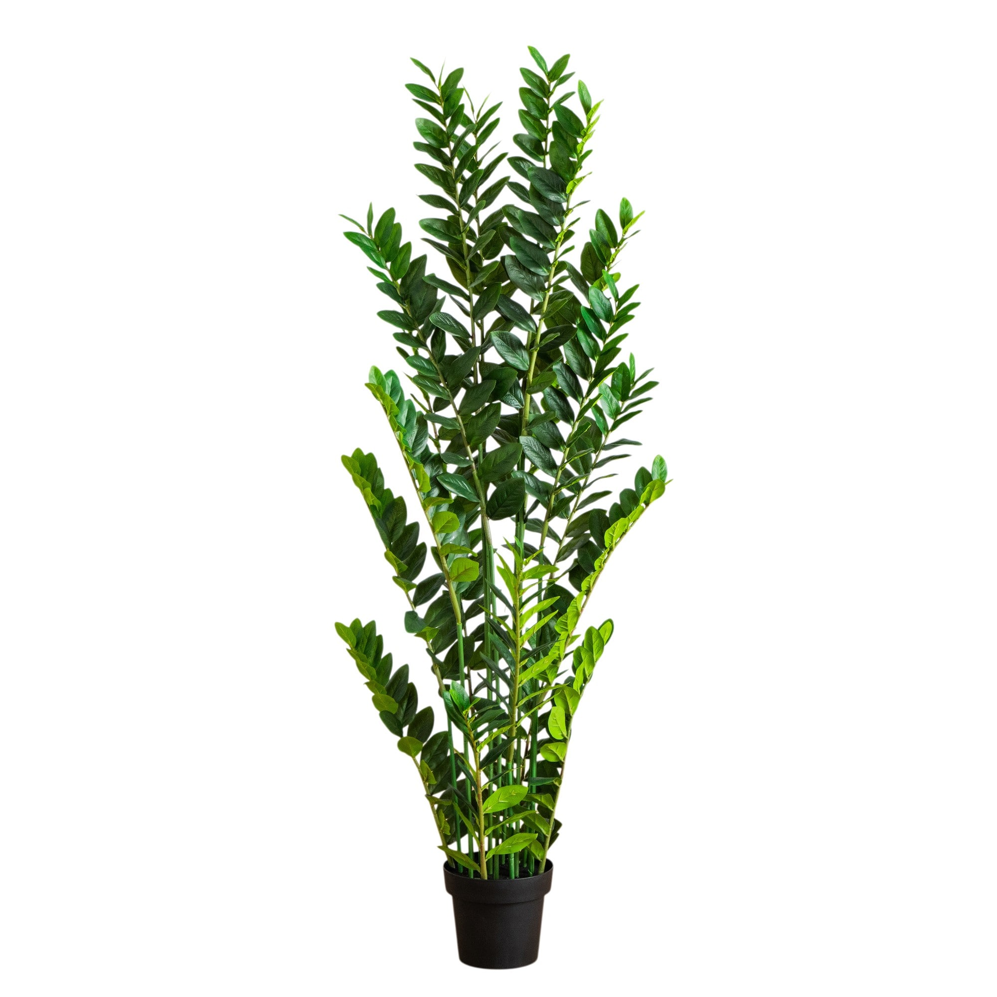 5ft. Artificial Zamioculcas Plant